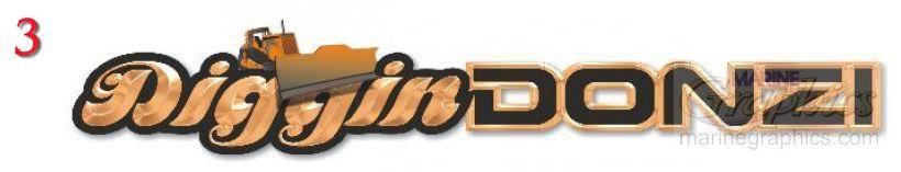 Diggin Donzi boat graphics