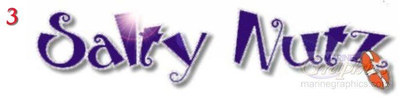 Salty Nutz - boat graphic 3