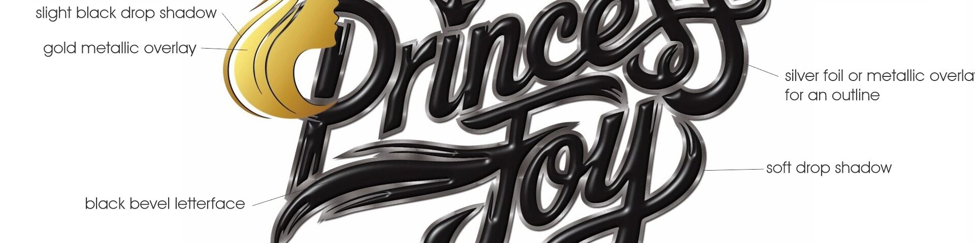 Close up of the Princess Joy Boat Graphic with points of interest