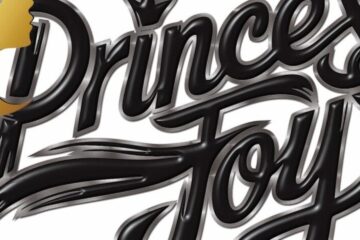 Close up of the Princess Joy Boat Graphic with points of interest