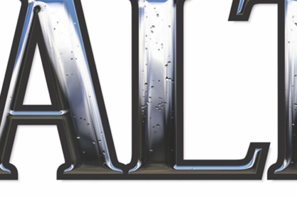 closeup of Salt Shaker boat graphic and compass rose